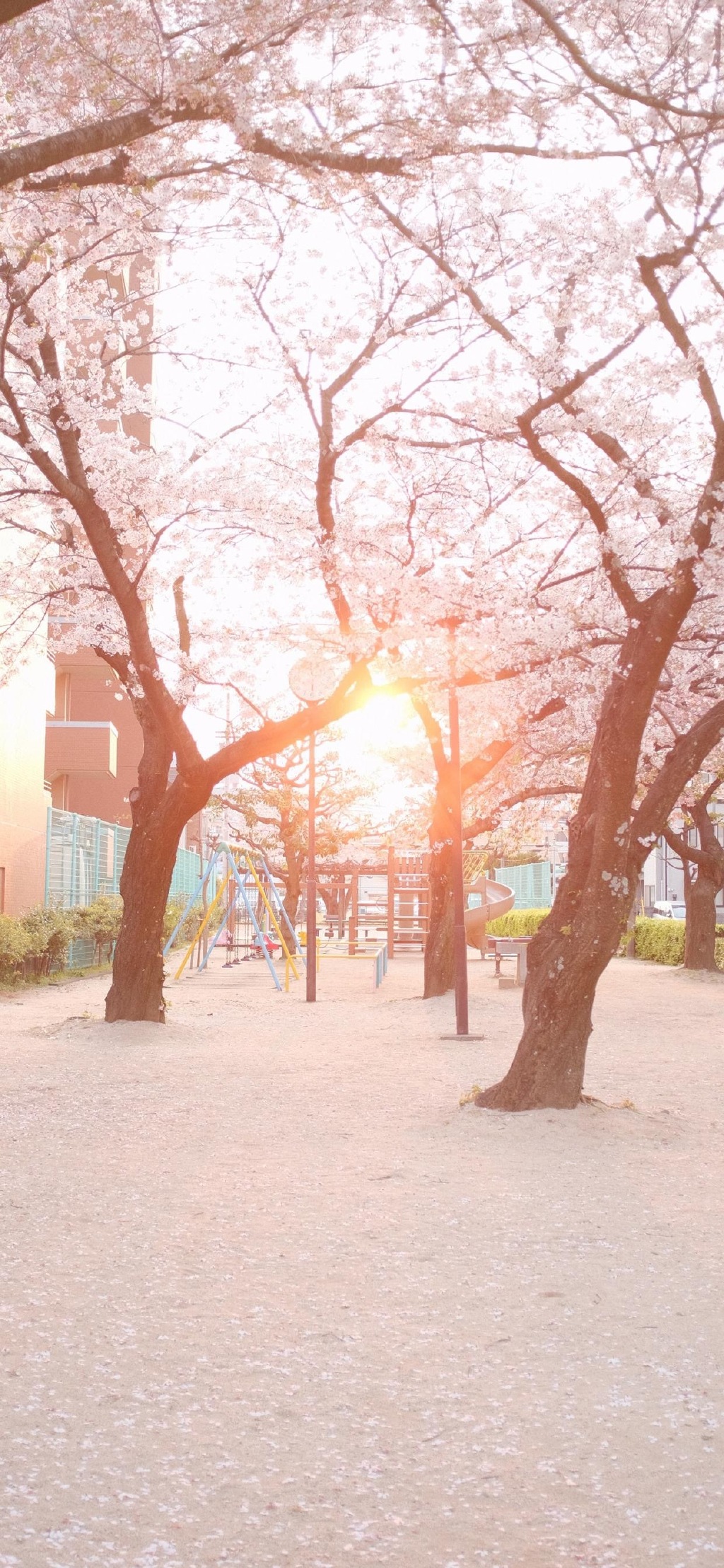 日式唯美风景摄影高清手机壁纸图片