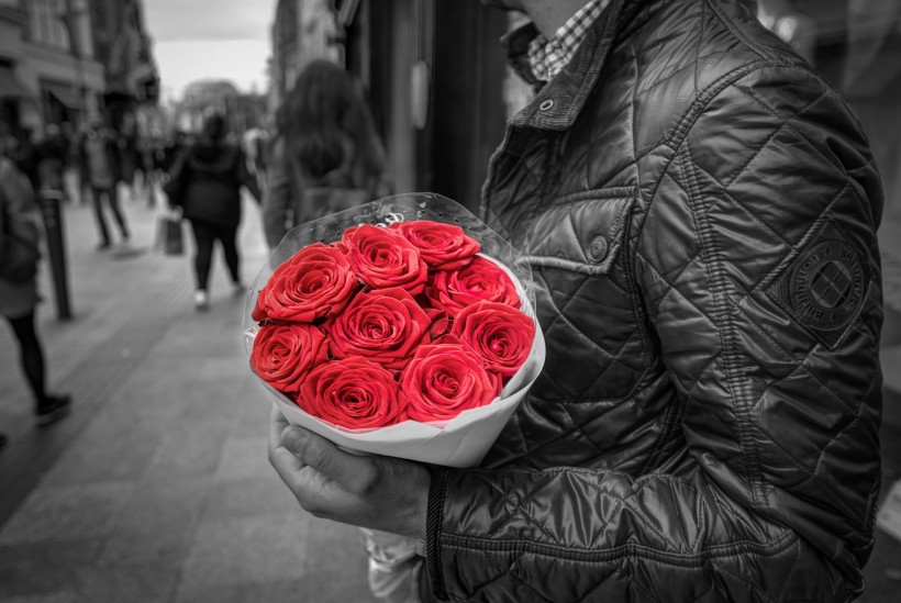 唯美鲜艳热情似火的红玫瑰图片大全
