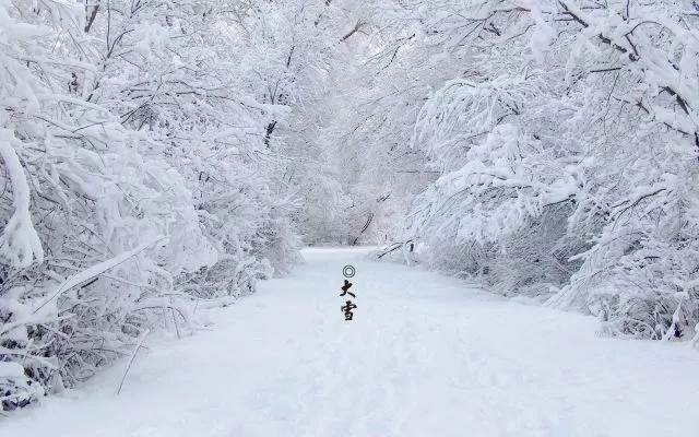 冬季大雪风景图片大全唯美